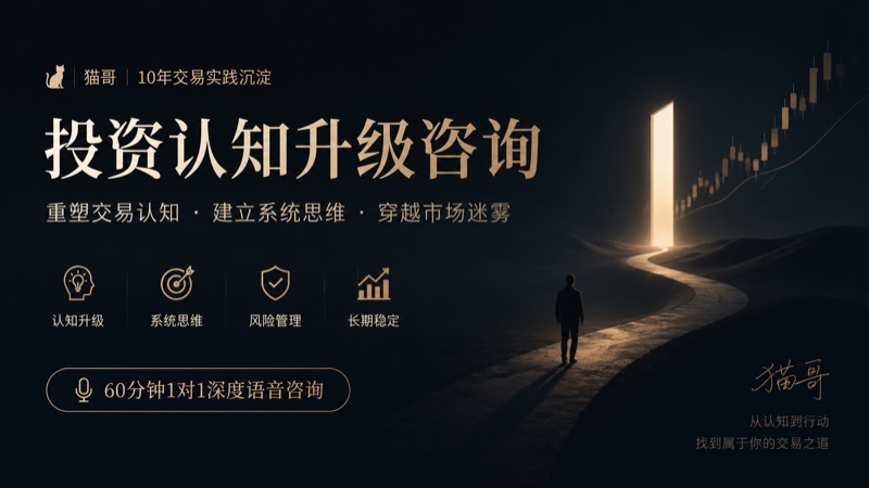 1V1猫哥咨询服务